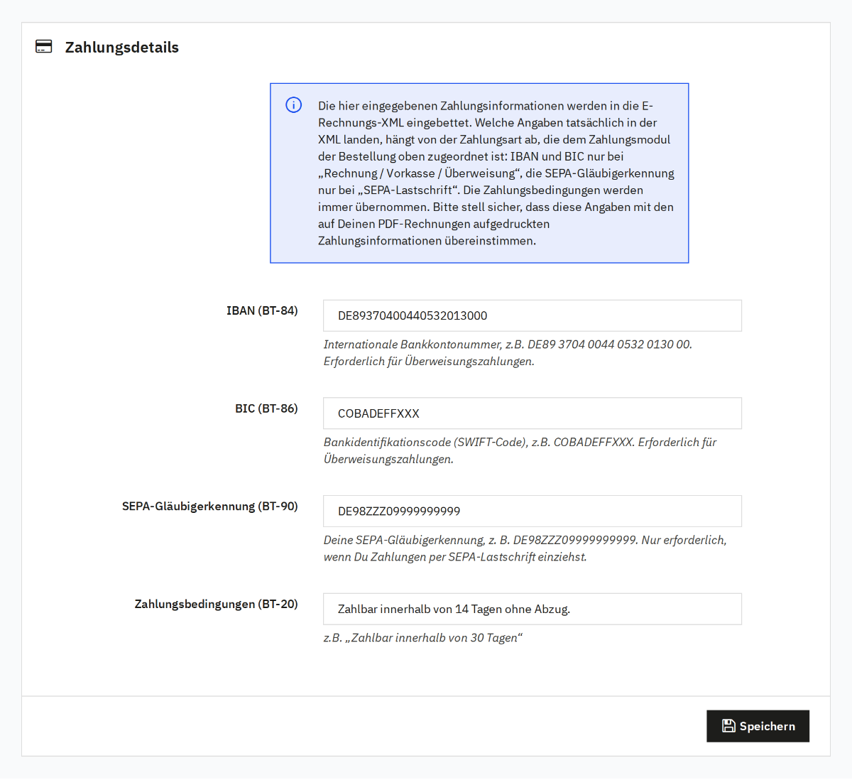 Zahlungsdetails in den E-Rechnung Einstellungen